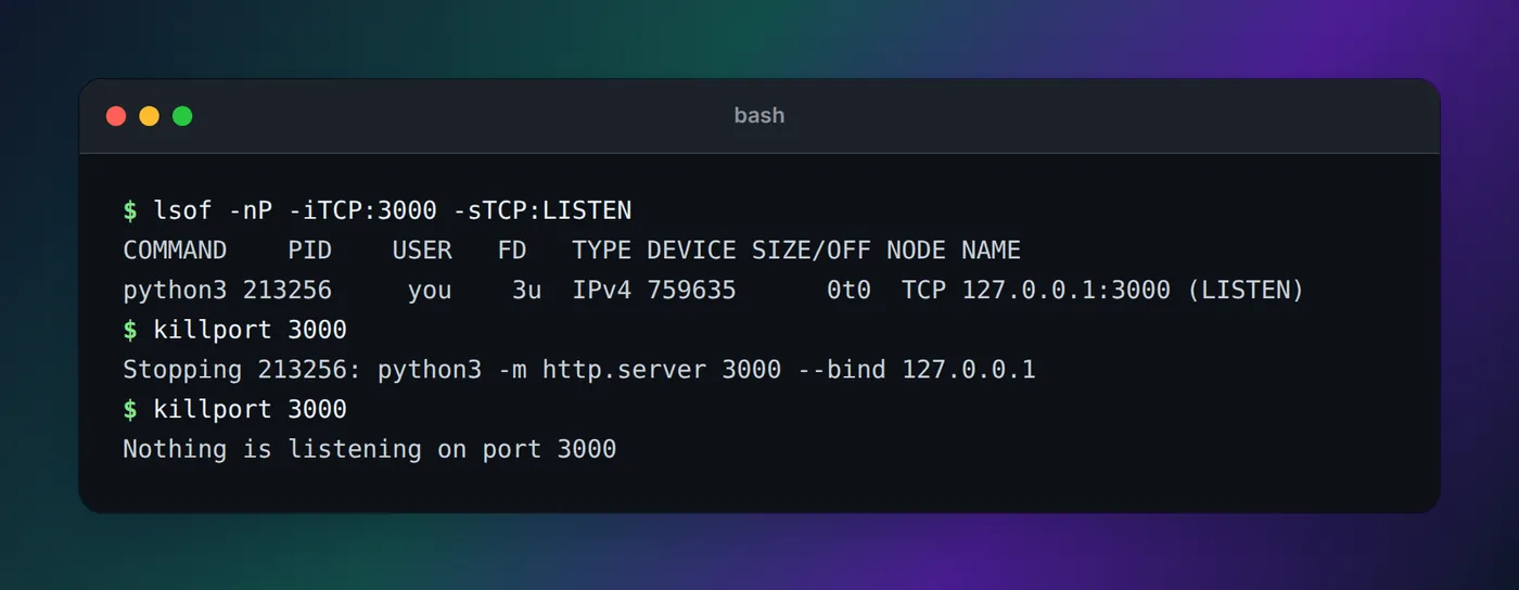 Terminal output: lsof shows python3 listening on 127.0.0.1:3000, killport 3000 stops it, and a second killport reports nothing is listening